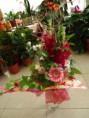 /album/galeria-de-fotos-arranjos-florais/dsc00515-jpg/